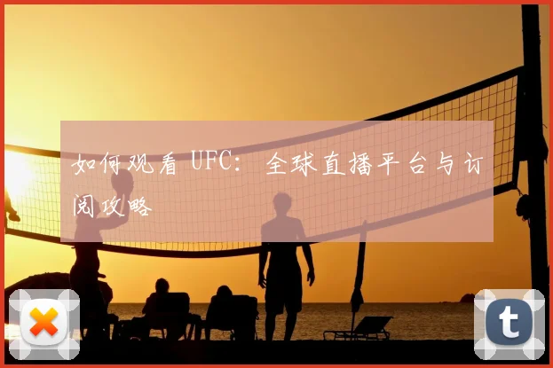 如何观看 UFC：全球直播平台与订阅攻略