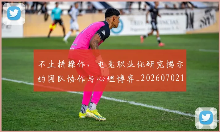 不止拼操作，电竞职业化研究揭示的团队协作与心理博弈_20260702175033