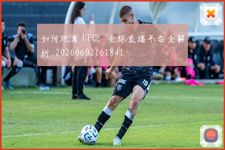 如何观看 UFC：全球直播平台全解析_20260602161841