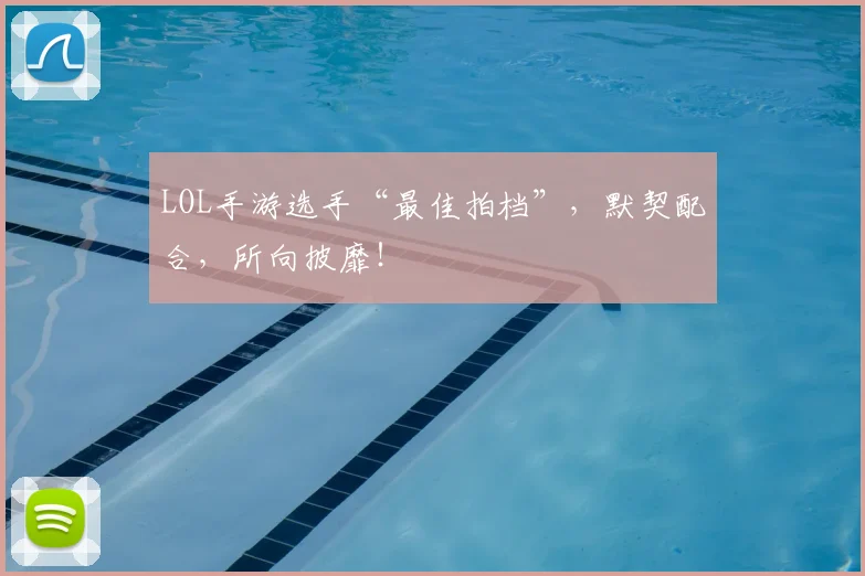 LOL手游选手“最佳拍档”，默契配合，所向披靡！