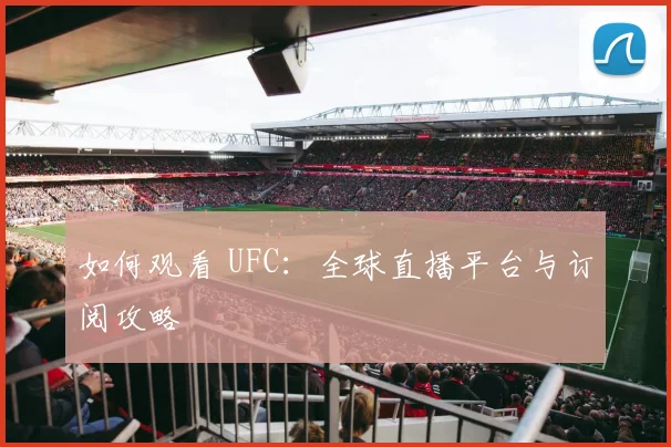 如何观看 UFC：全球直播平台与订阅攻略